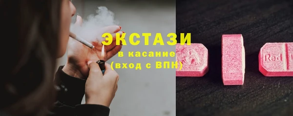 стаф Вязьма
