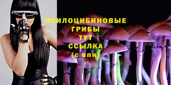 гидра Бородино