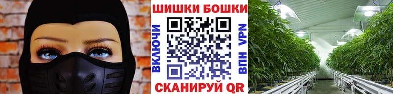 как найти наркотики  Заволжье  МАРИХУАНА SATIVA & INDICA 